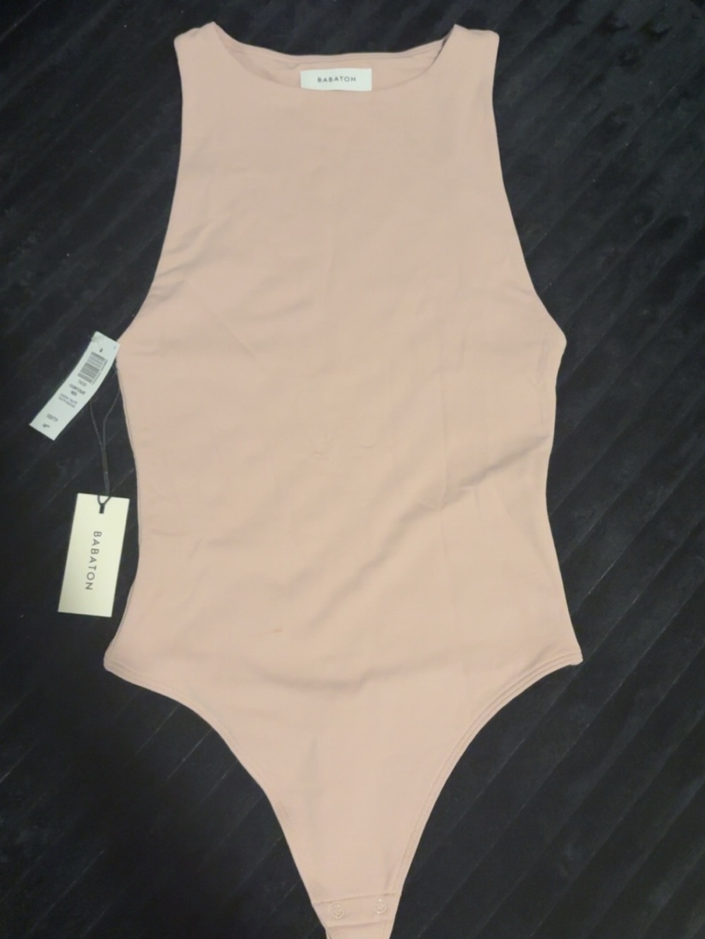 Aritzia Babaton Sleeveless Bodysuit in Dusty Mauve
